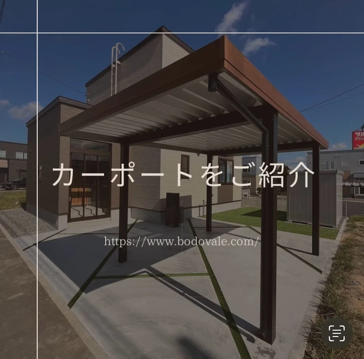 画像446