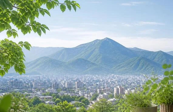 札幌市西区の遺産相続なら、専門家が提案する賢い相続プラン